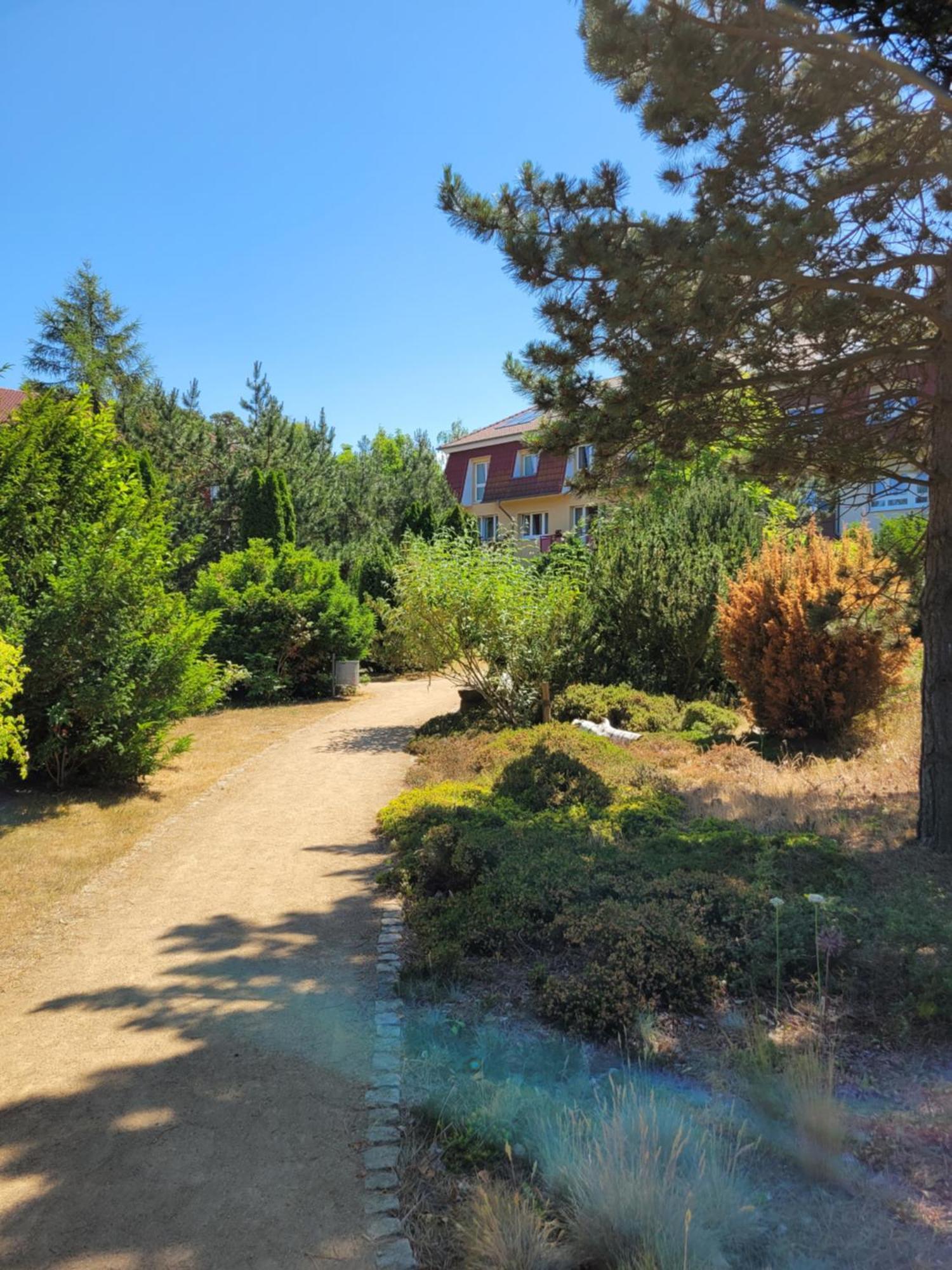Appartement Im Duenengarten Ostseebad Kühlungsborn エクステリア 写真